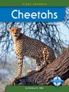 Cheetahs